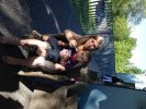 Girelsauer Treffen-Mammendorf